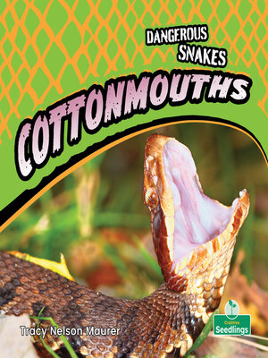 cover image of Cottonmouths